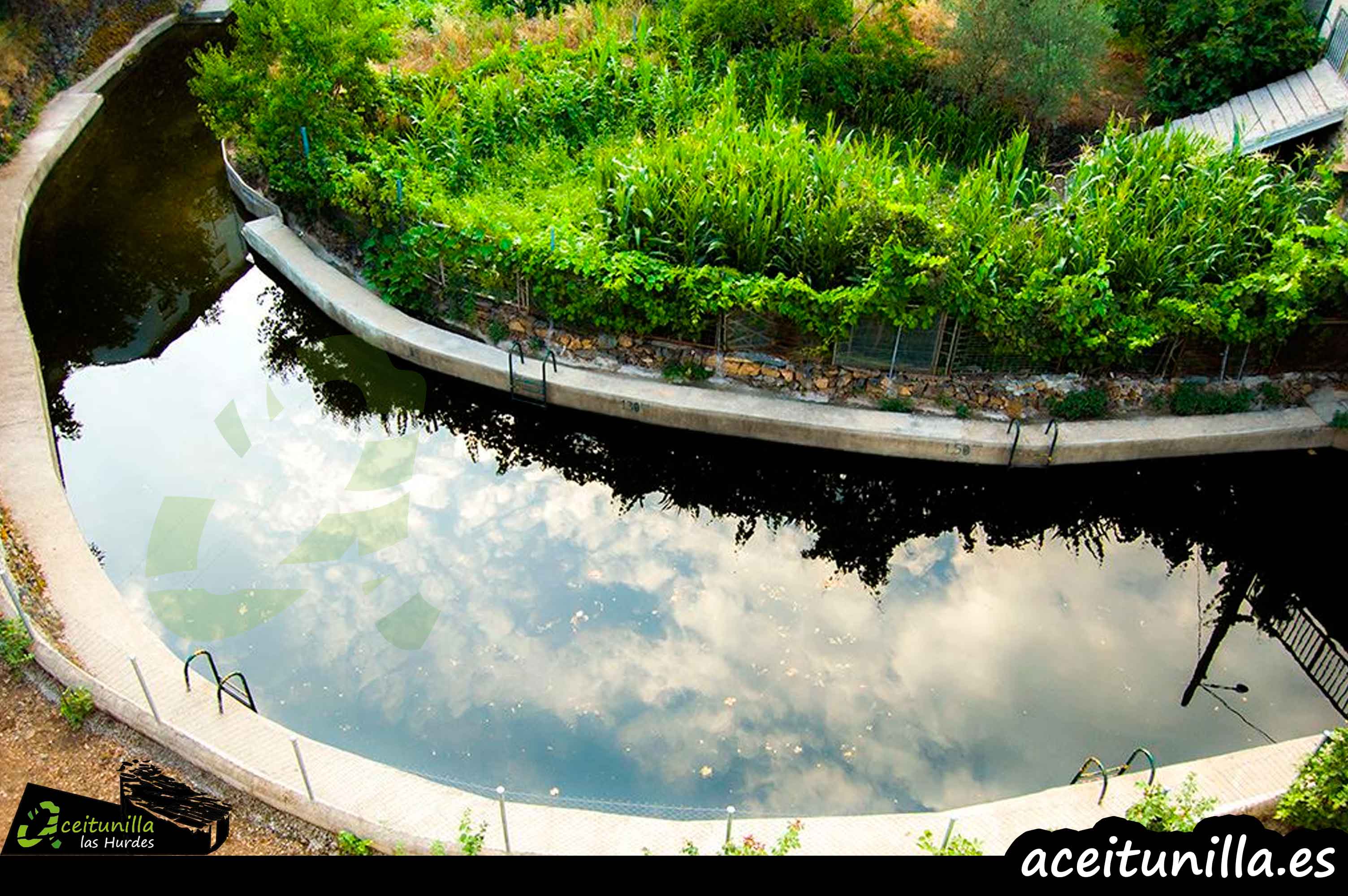 Piscina Natural Aceitunilla